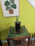 Snake plant